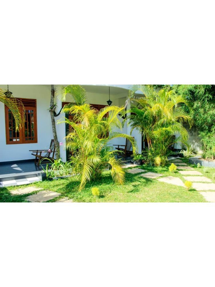 Orchid Rest Hotel Mirissa Ngoại thất bức ảnh